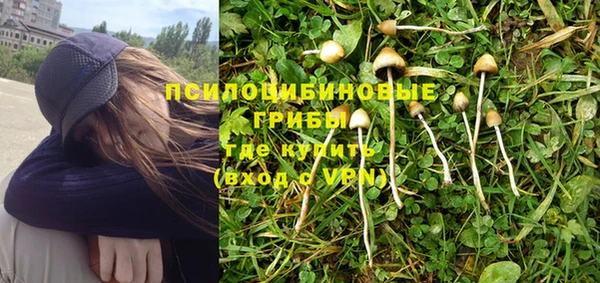 прущие крисы Алексеевка