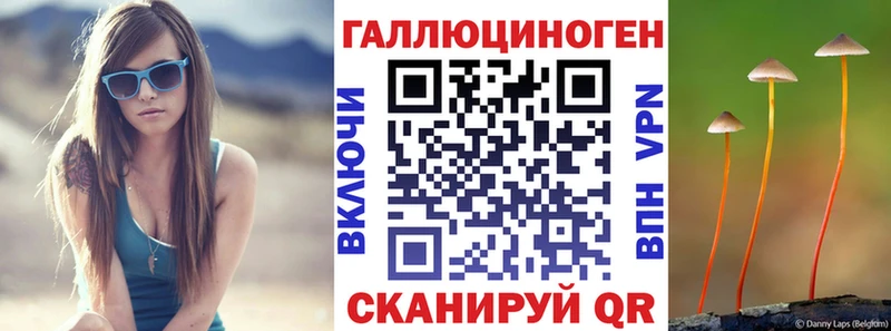 Псилоцибиновые грибы Psilocybine cubensis  Урюпинск 